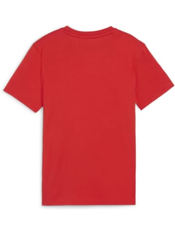 Puma T-Shirt "TeamGoal CasuaLongsleeve Tee Jr" in Rot
