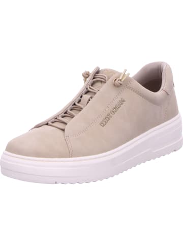 Marco Tozzi Slipper in DUNE