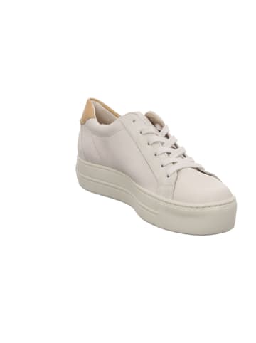 Paul Green Schnürschuhe in ivory