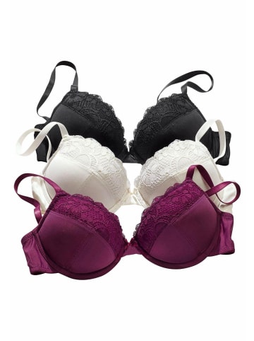 PETITE FLEUR Push-up-BH in schwarz+creme+beere