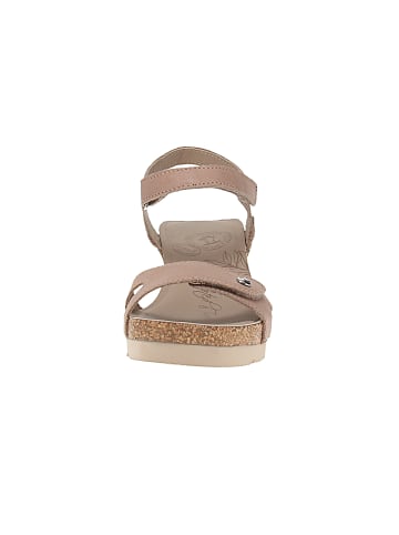 PANAMA JACK Sandalen Julia B78 in Braun