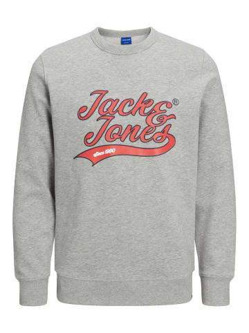 Jack & Jones Pullover JORBECKS in Grau