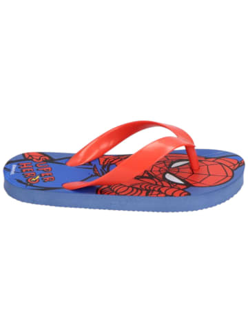 Cerda Zehentrenner Spider-Man in Blau