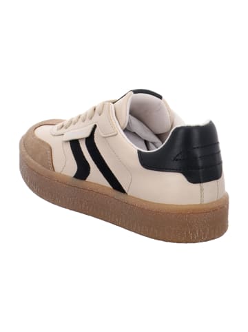 Tamaris Sneaker Low in Beige