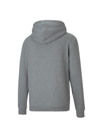 Puma Sweatshirt teamGOAL 23 Casuals Hoody in grau