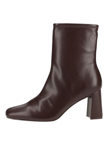 Steve Madden Stiefelette HURST in Coffee