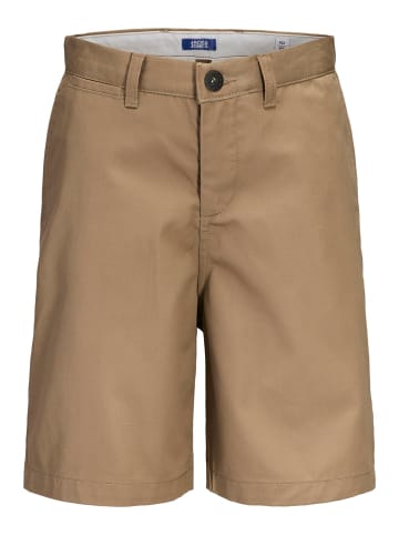 JACK & JONES Junior Chino Shorts in Elmwood