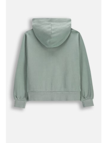 Coccodrillo Kapuzensweatjacke in grün