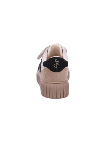 Marco Tozzi Sneaker  in Beige