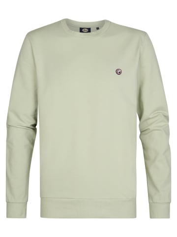 Petrol Industries Sweater mit Logo Seaviewpark in Grün
