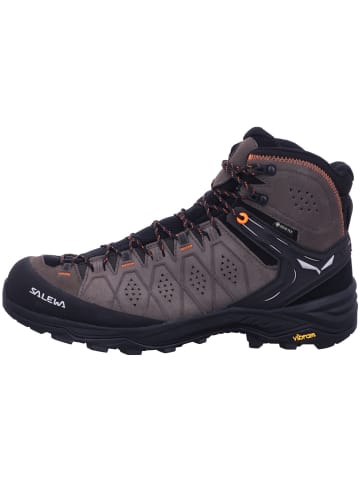 Salewa Wanderschuh in braun
