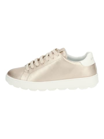 Geox Sneaker Gold