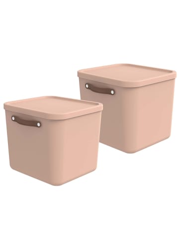 Rotho 2er-Set Aufbewahrungskiste 40l in Meadow rose