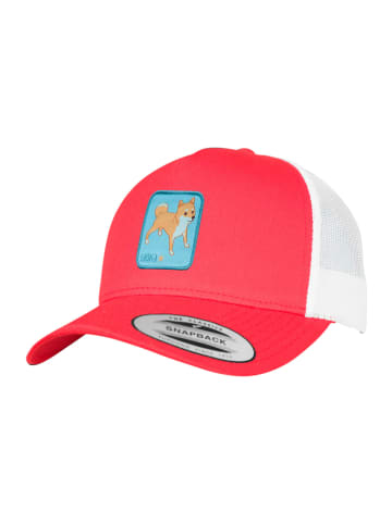 F4NT4STIC Trucker Cap Shiba Inu in red-white