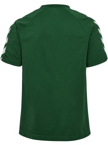 Hummel T-Shirt "Archive Loose T-Shirt S/S" in Grün