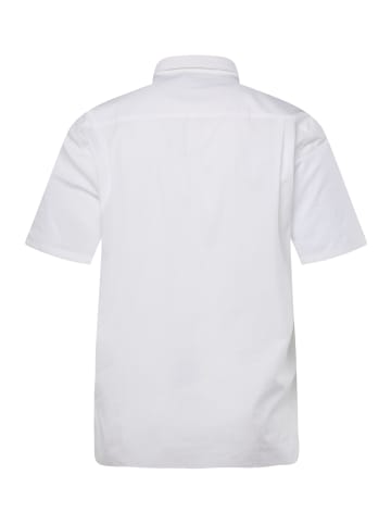 Men Plus Hemd in schneeweiß