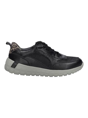 Josef Seibel Sneaker Gabby 03 in schwarz