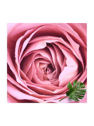 WALLART Vinyl-Teppich - Rosa Rosenblüte in Rosa