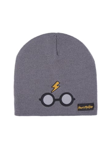 Harry Potter Mütze Beanie Winter in Grau