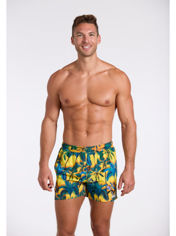 wavebreaker Shorts in bunt