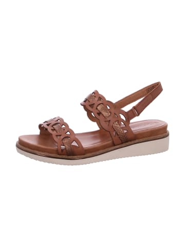 Tamaris Riemchensandalette   in Braun