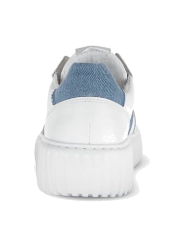 Gabor Comfort Sportliche Schnürschuhe in Blau