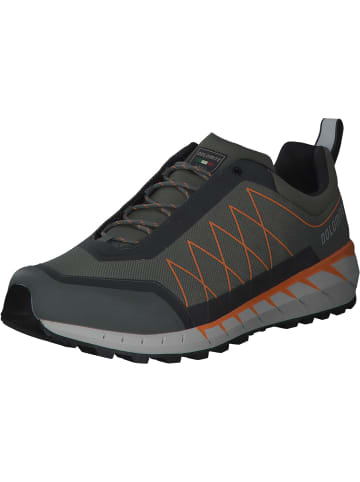 DOLOMITE Outdoorschuhe in Silver Green/Orange