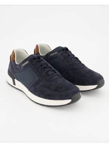 Pius Gabor Sneaker low in Blau