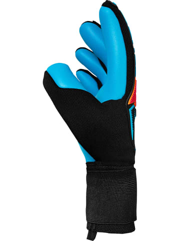 Reusch Torwarthandschuhe Attrakt Freegel Aqua in 7126 blck/shock orng/aqua blu