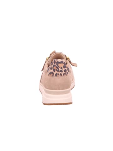 Gabor Sneaker in beige