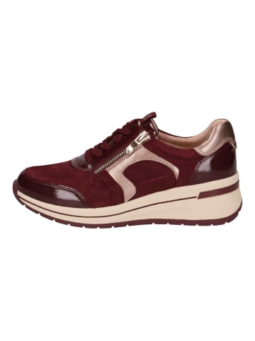 Caprice Sneaker Bordeaux