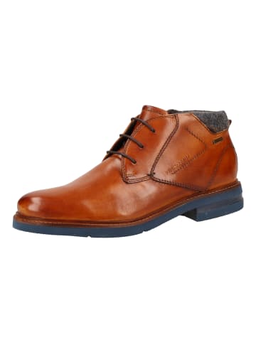 Daniel Hechter Stiefelette in Cognac