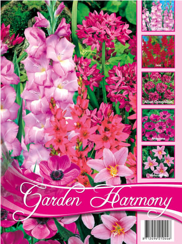 MeinVIPShop 75 x rosa Blumenzwiebel Mischung 