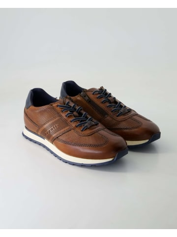 bugatti shoes Sneaker low in Braun