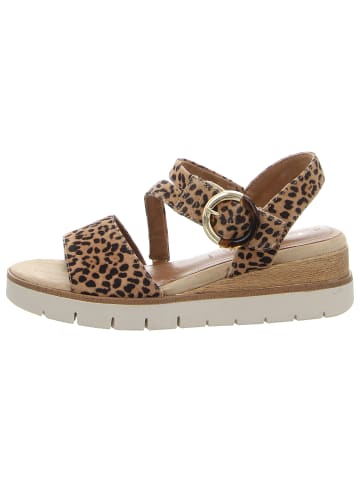 Tamaris Stiefelette in braun