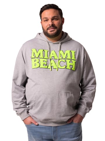 Men Plus Sweatshirt in grau melange