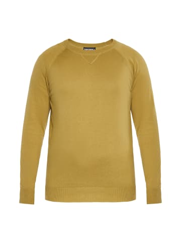 TUFFSKULL Herren Pullover in KHAKI