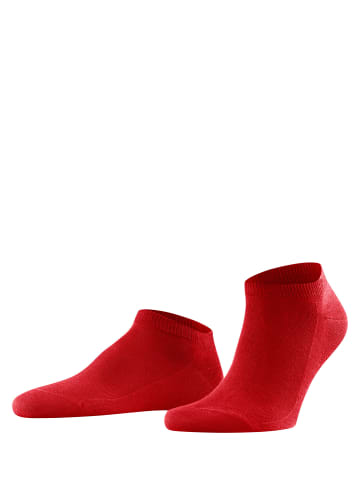 Falke Sneakersocken Family in Scarlet