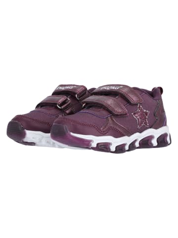 Zigzag Sneaker Biholy in 4170 Prune Purple