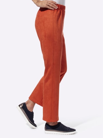 Sieh an! Bootcut-Hose in rostrot