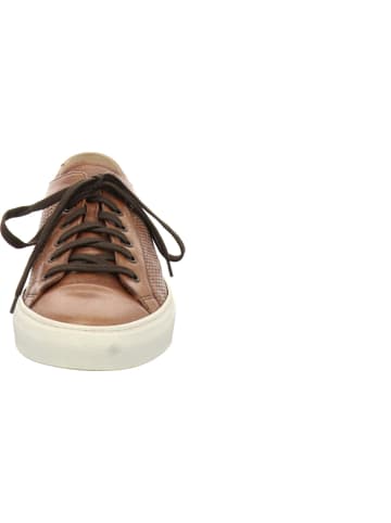 LANCIOR Schnürschuhe in braun