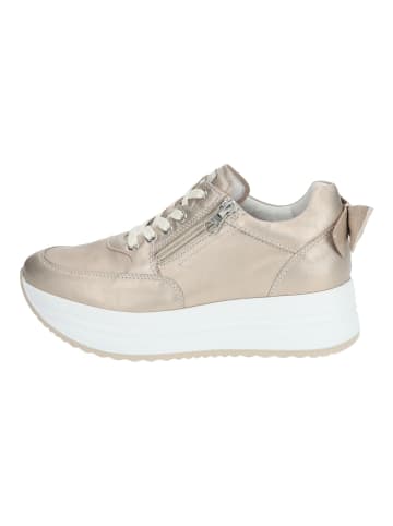 Nero Giardini Sneaker in Bronze