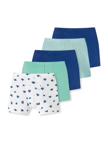 Schiesser Trunk 95/5 Organic Cotton in weiß, mint, blau