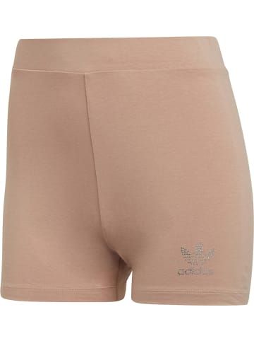 adidas adidas Shorts in ash pearl