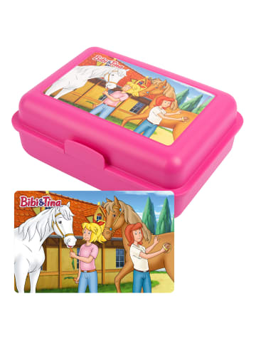 Bibi und Tina Bibi und Tina Brotdose mit Trennwand in pink