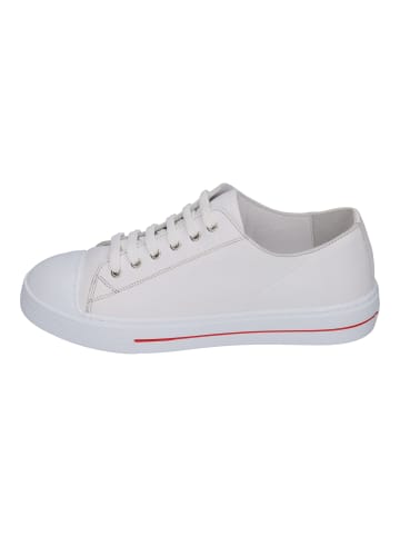 Andrea Conti Sneaker Low 0067104 in weiß