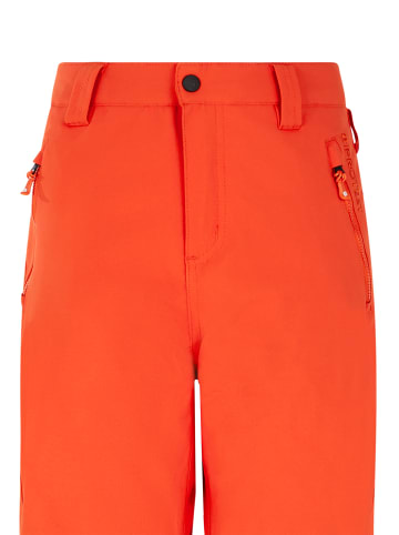 Protest " PRTSTERIO JR in Burnt Orange