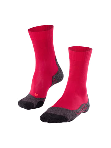 Falke Wandersocken TK2 Explore Cool in rose