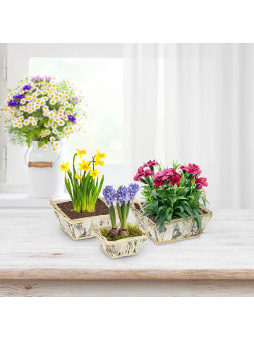 relaxdays 3 x Blumentopf in Weiß/ Natur