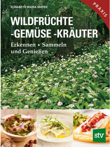 Leopold Stocker Verlag Kochbuch - Wildfrüchte, -gemüse. -kräuter